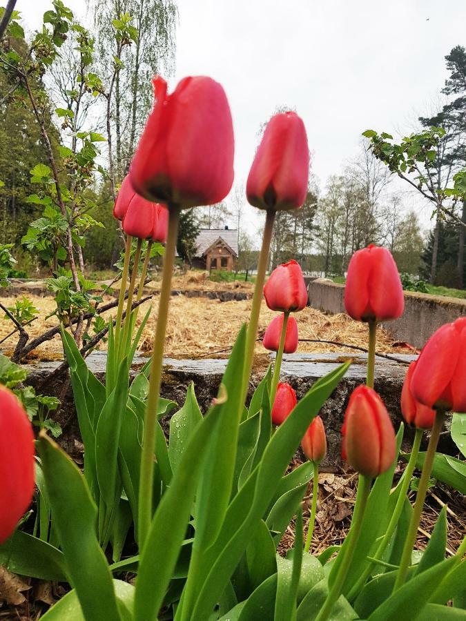 Garpenbergs B&B, Bnb Esterno foto
